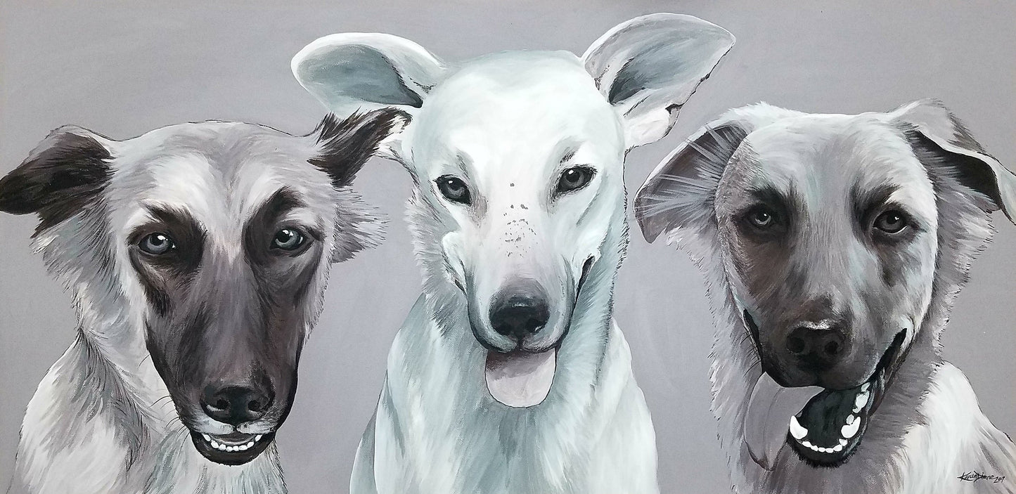 Pet Portraits