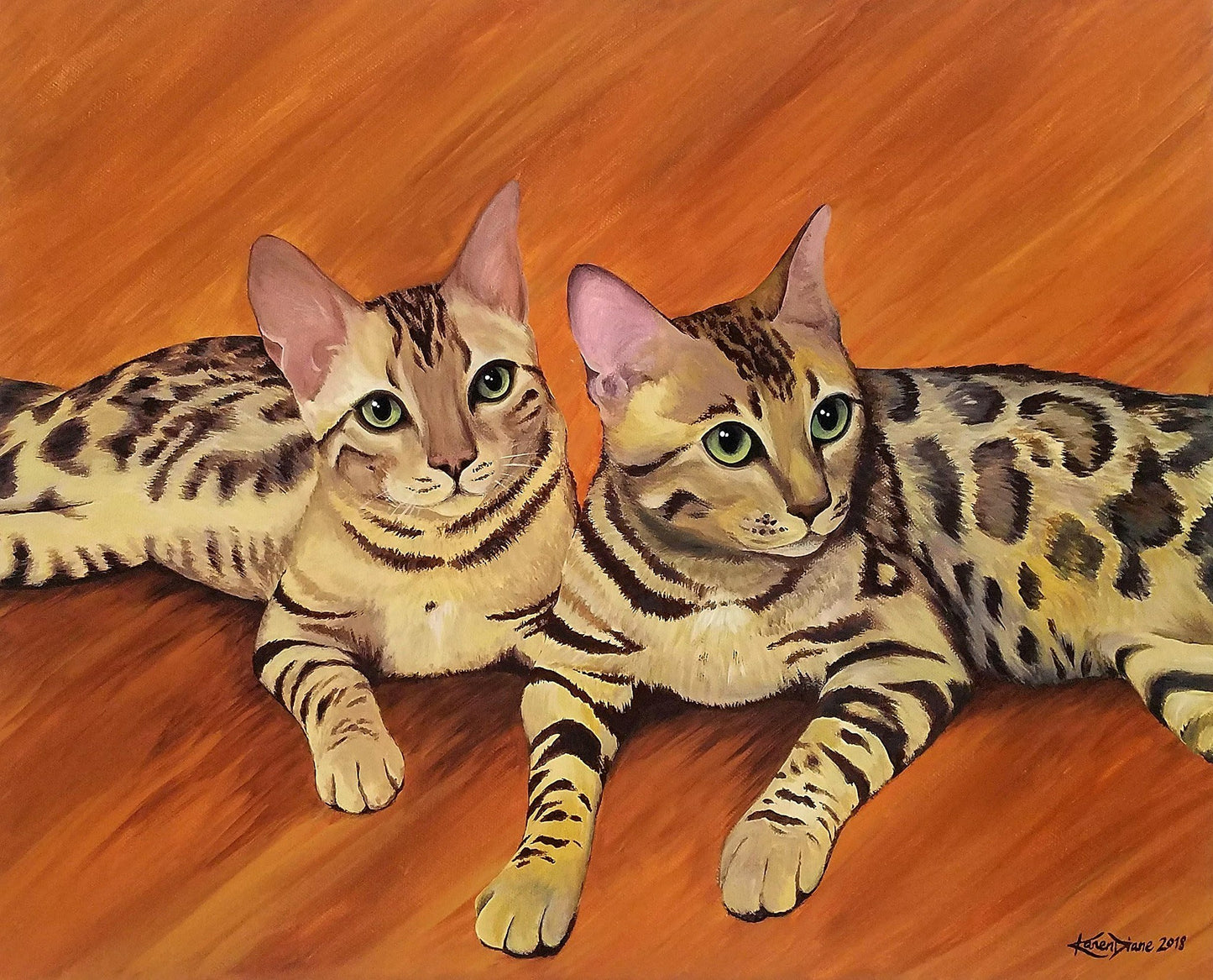 Pet Portraits