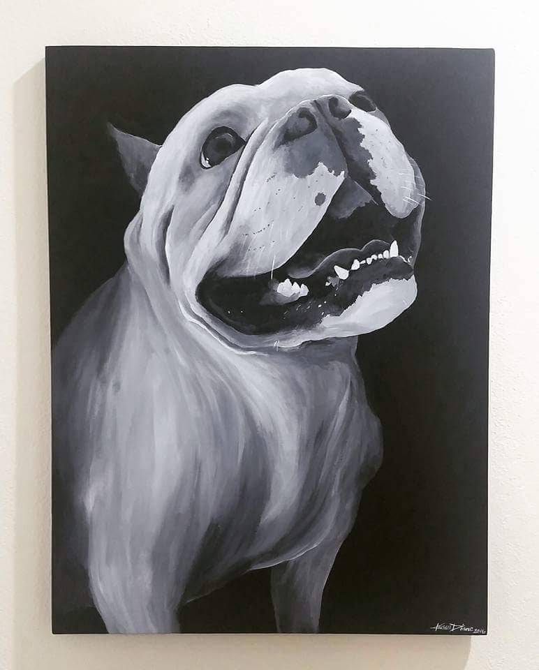 Pet Portraits