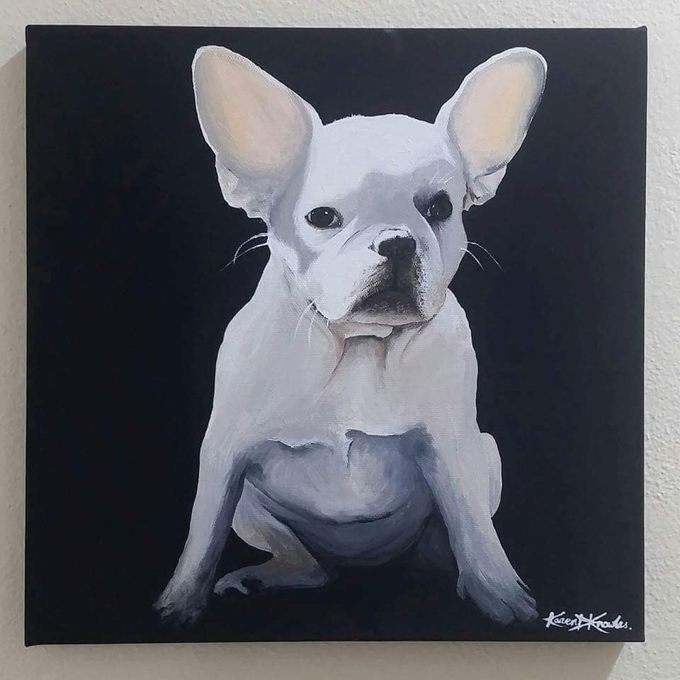 Pet Portraits