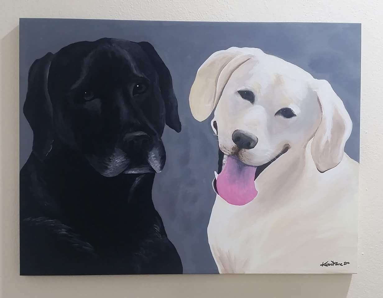 Pet Portraits