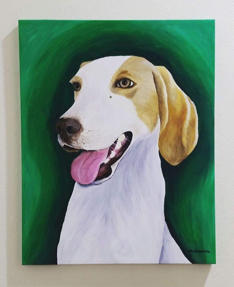 Pet Portraits