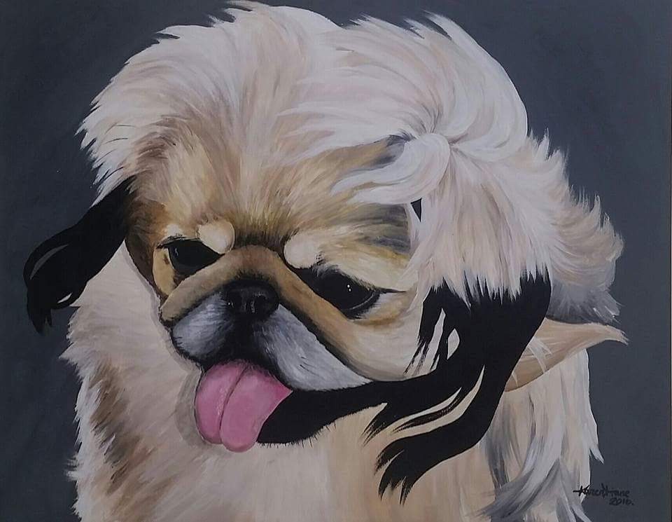 Pet Portraits