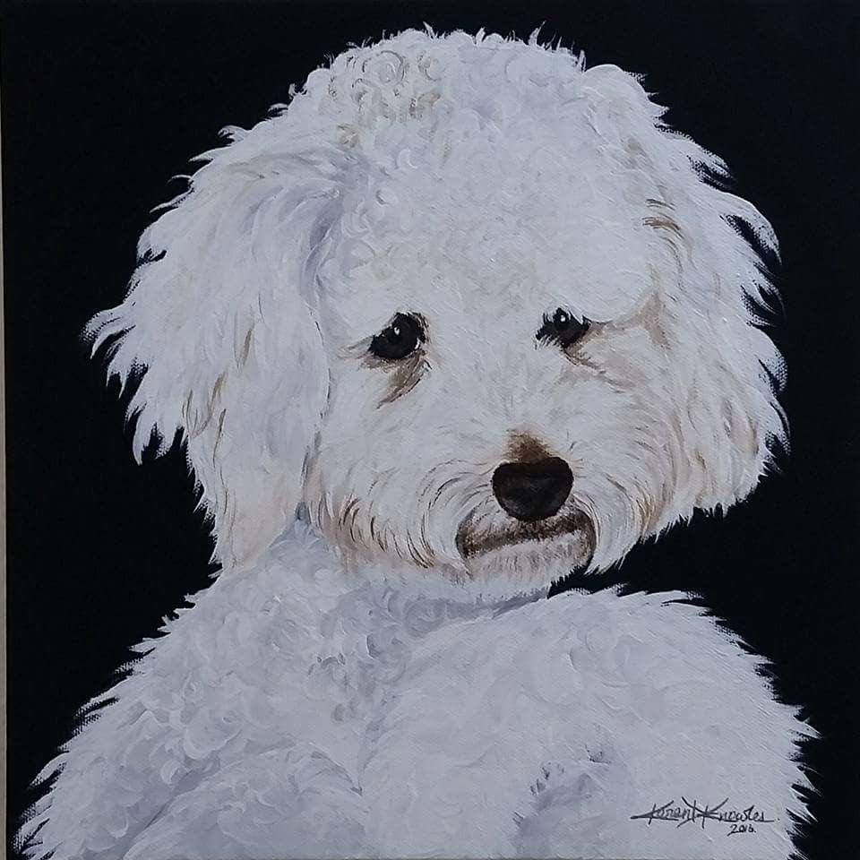 Pet Portraits
