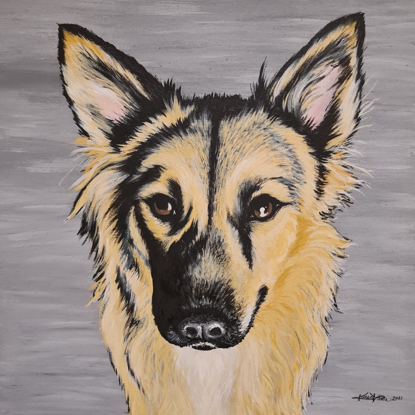 Pet Portraits
