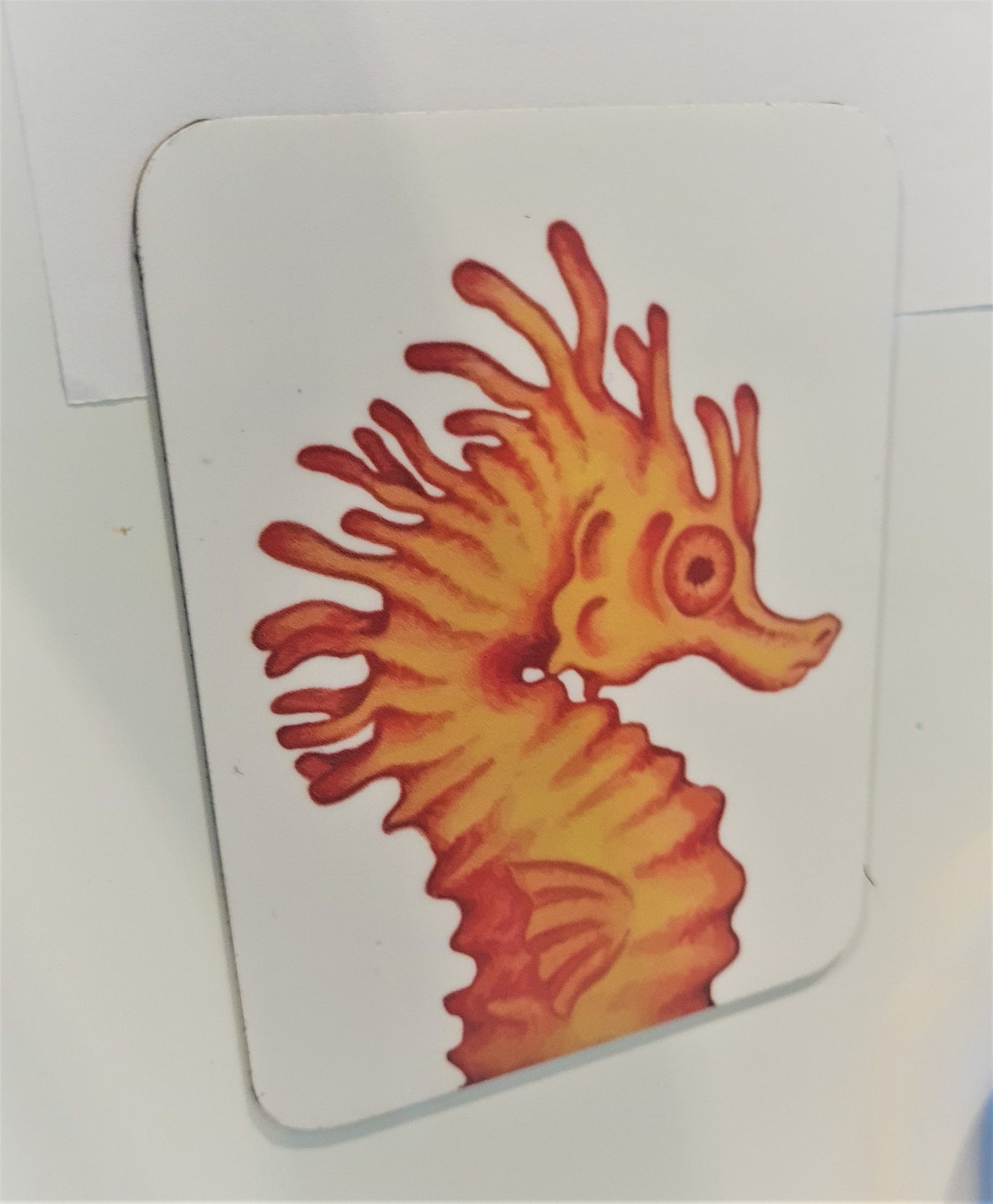 Fridge Magnets